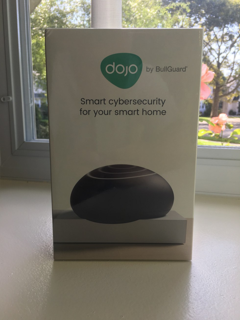 Dojo by BullGuard Box